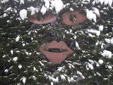 Face in the Snow — eyes and lips on a snow-covered log